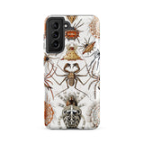 Arachnida - Ernst Haeckel Spider Taxonomy Samsung Case, Galaxy S21 Fe / Matte, White Phone Case Adorned Spider Illustrations