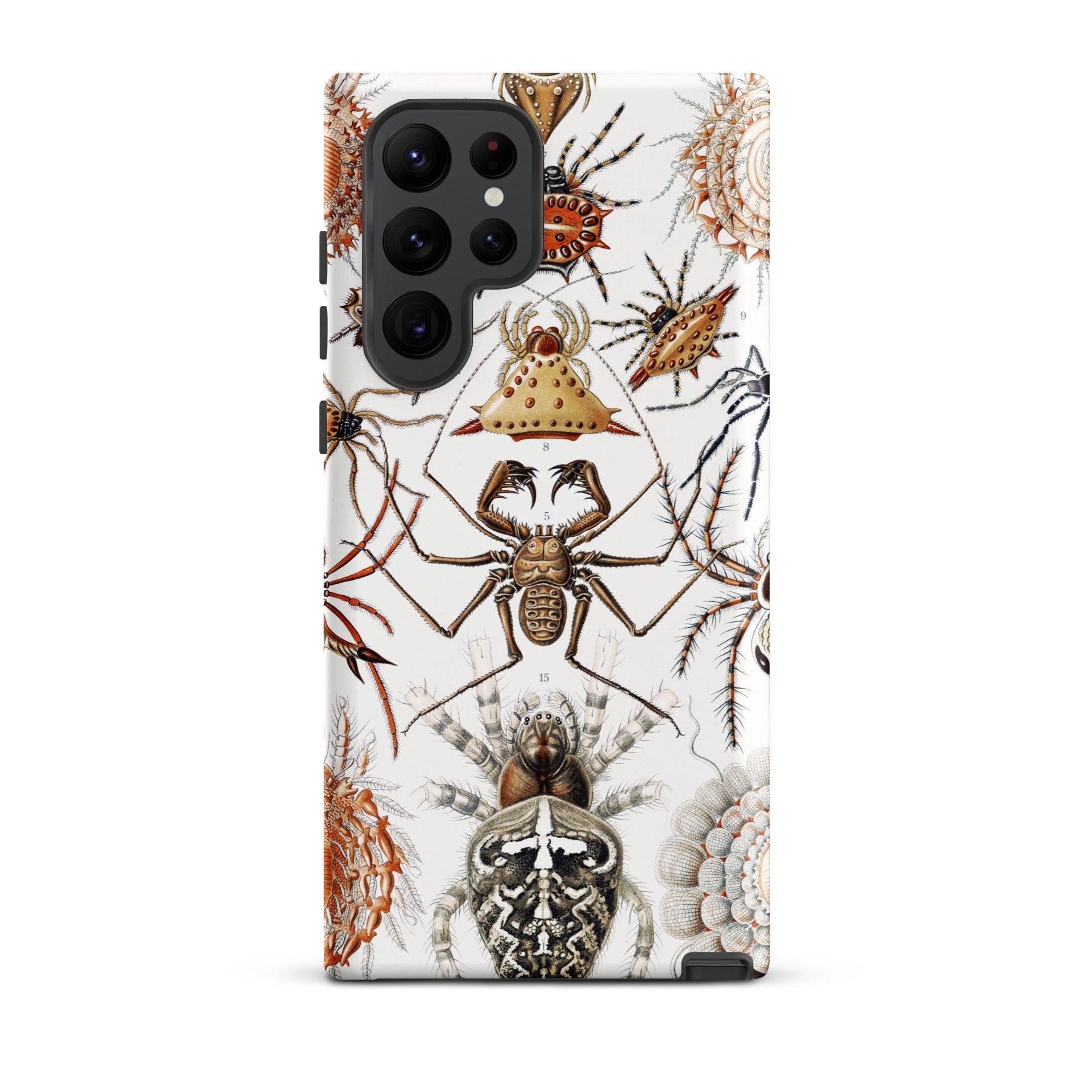 Arachnida Ernst Haeckel Spider Taxonomy Samsung Case, Galaxy S22 Ultra / Matte, Smartphone White Case Vintage Illustration Spiders