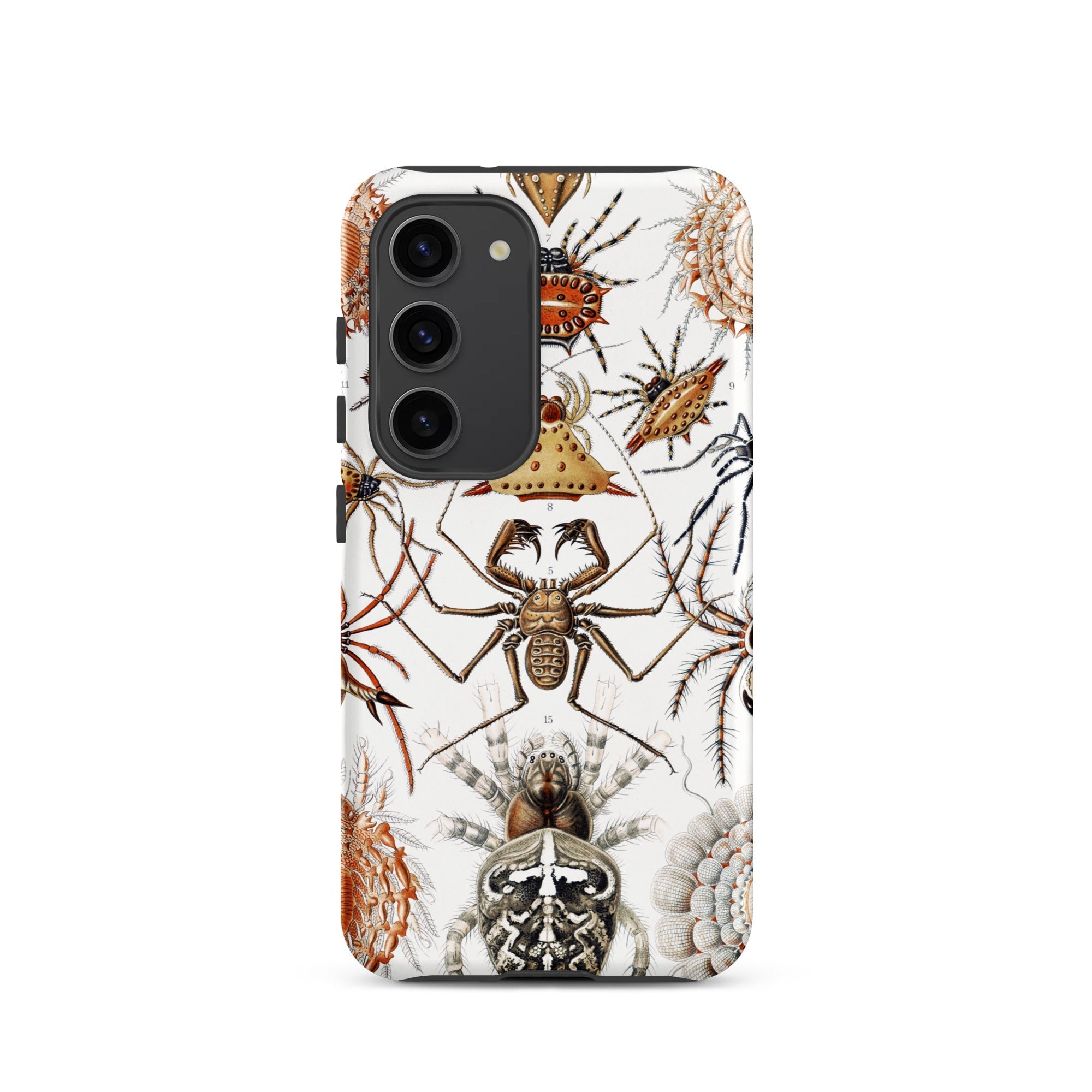 Arachnida Ernst Haeckel Spider Taxonomy Samsung Case, Galaxy S23 / Matte, Smartphone White Case Detailed Vintage Style Illustration Spiders