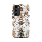 Arachnida Ernst Haeckel Spider Taxonomy Samsung Case, Galaxy S23 Plus / Matte, Phone Case Detailed Colorful Pattern Spiders