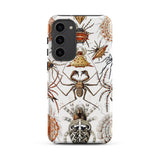 Arachnida - Ernst Haeckel Spider Taxonomy Samsung Case, Galaxy S23 Plus / Matte, Phone Case Detailed Colorful Pattern Spiders
