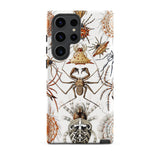 Arachnida - Ernst Haeckel Spider Taxonomy Samsung Case, Galaxy S23 Ultra / Matte, White Phone Case Detailed Spider Illustration