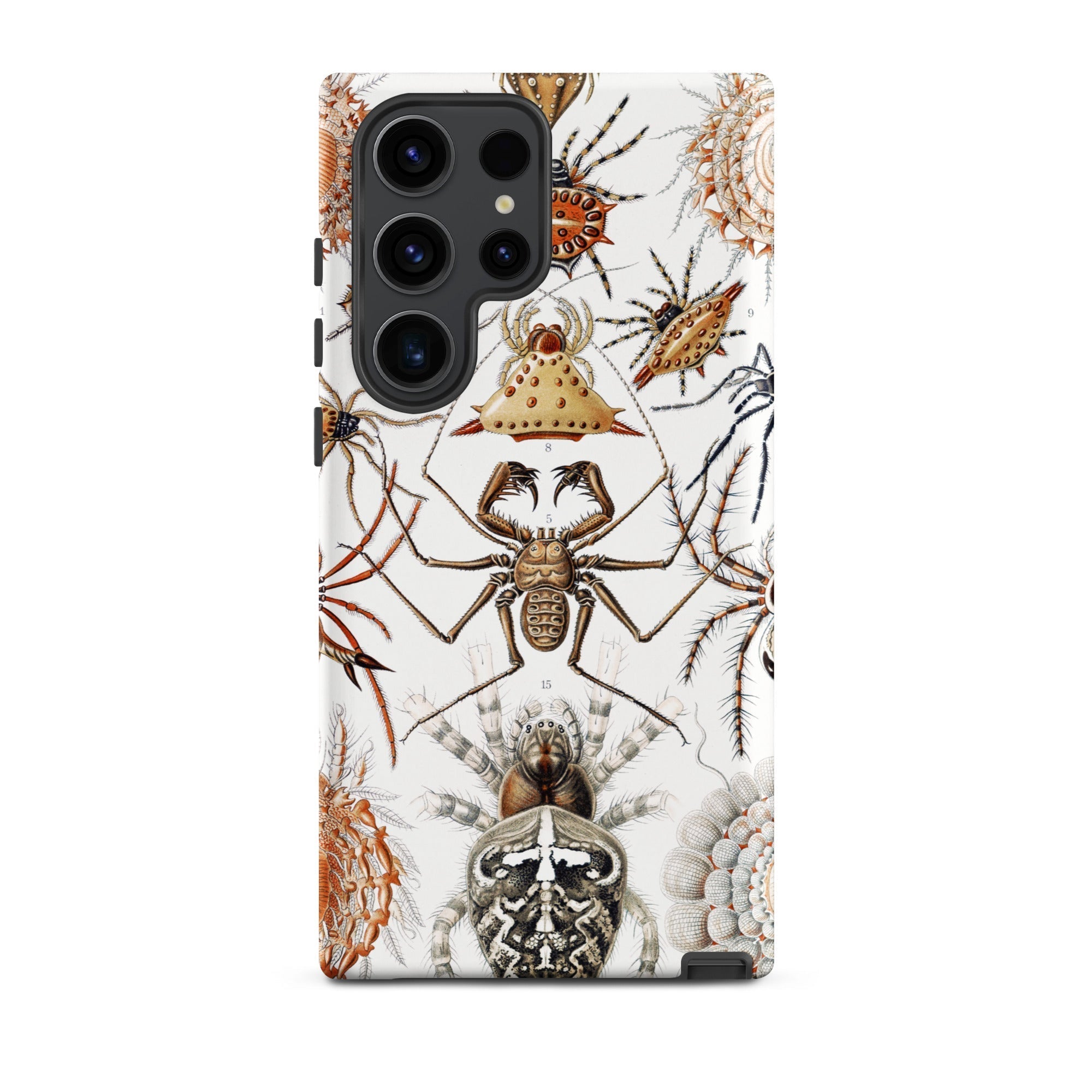 Arachnida Ernst Haeckel Spider Taxonomy Samsung Case, Galaxy S23 Ultra / Matte, White Phone Case Detailed Spider Illustration
