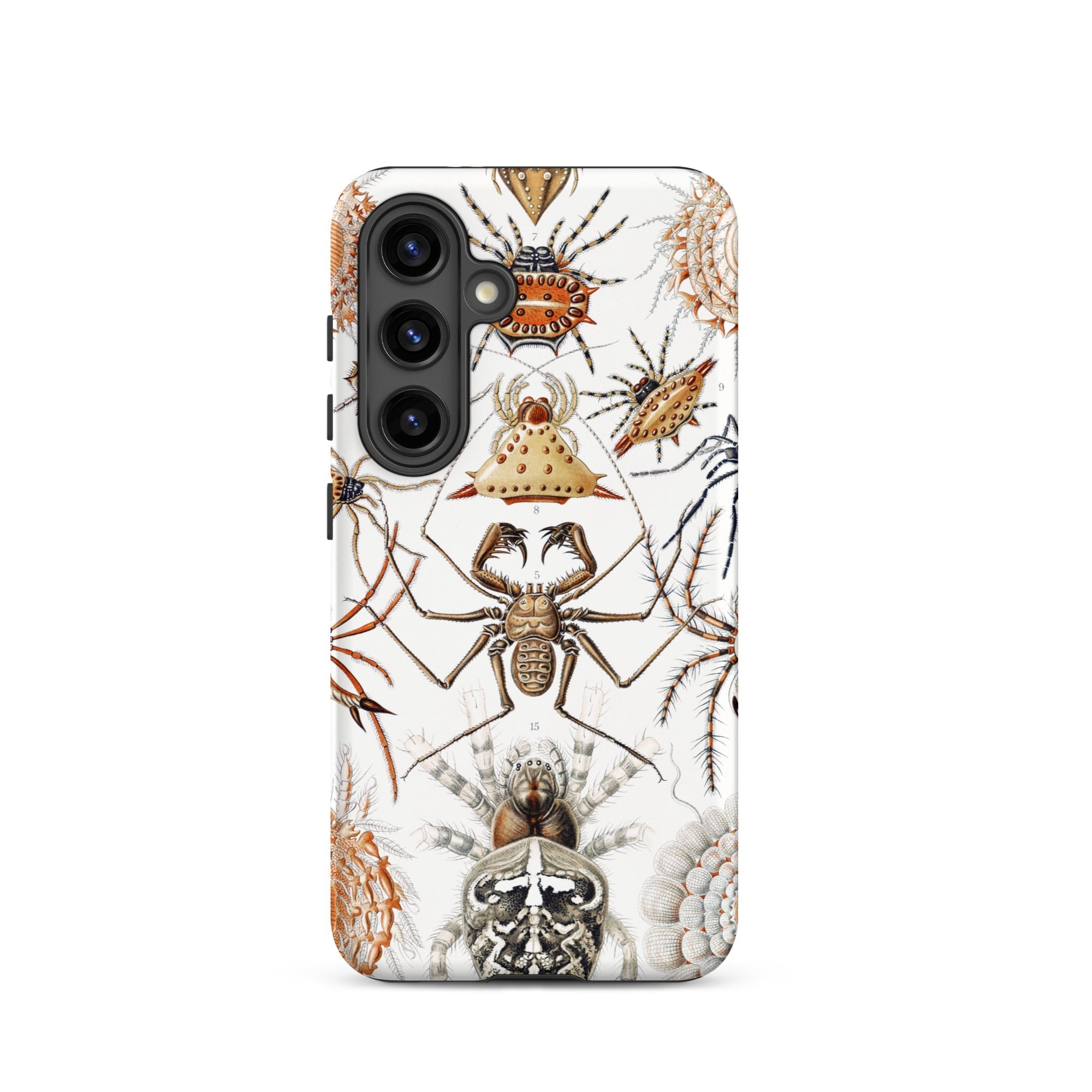 Arachnida Ernst Haeckel Spider Taxonomy Samsung Case, Galaxy S24 / Matte, White Phone Case Pattern Spider Illustrations