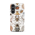 Arachnida Ernst Haeckel Spider Taxonomy Samsung Case, Galaxy S24 Plus / Matte, White Phone Case Adorned Spider Illustrations