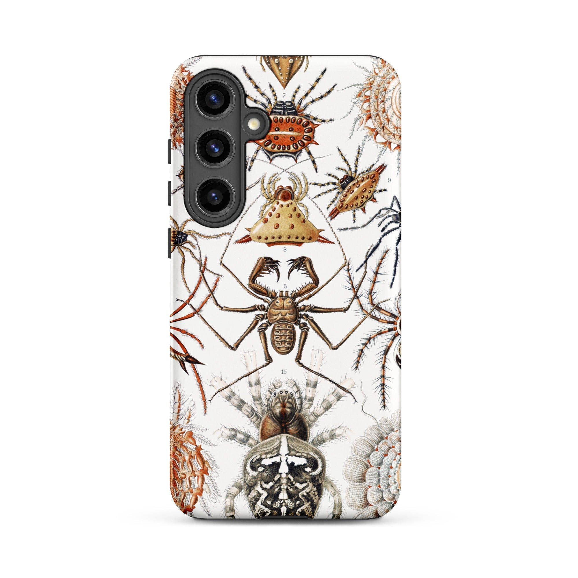 Arachnida Ernst Haeckel Spider Taxonomy Samsung Case, Galaxy S24 Plus / Matte, White Phone Case Adorned Spider Illustrations