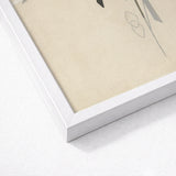 Art Supplies - Kamisaka Sekka Meiji Print / Canvas White Framed Artwork Minimalist Black Gray Botanical Line Sekka’s, Momoyogusa Series