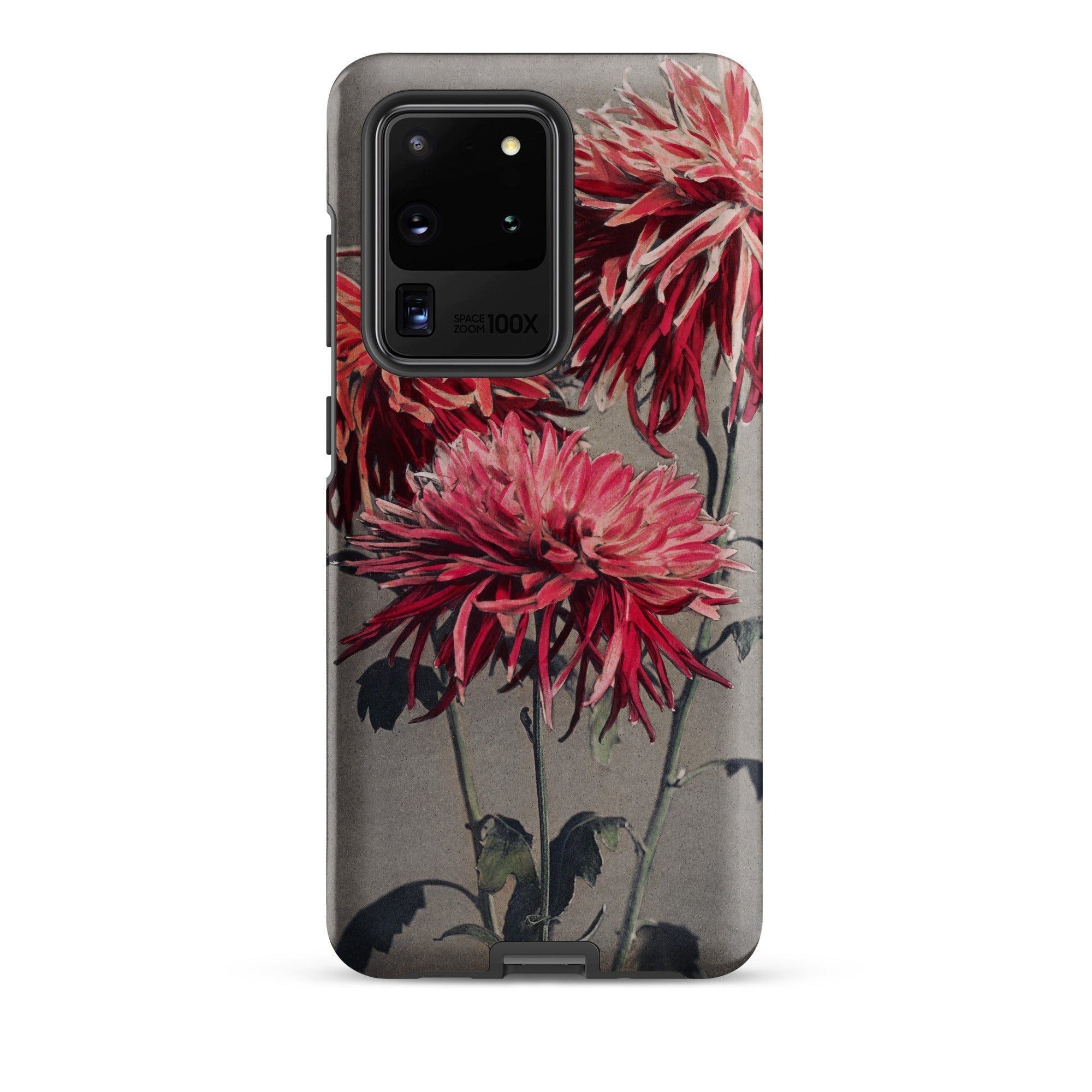 Asa–dsuma–bune Kazumasa Ogawa Floral Samsung Case, Galaxy S20 Ultra / Matte, Gray Smartphone Case Design Three Red Chrysanthemum Flowers