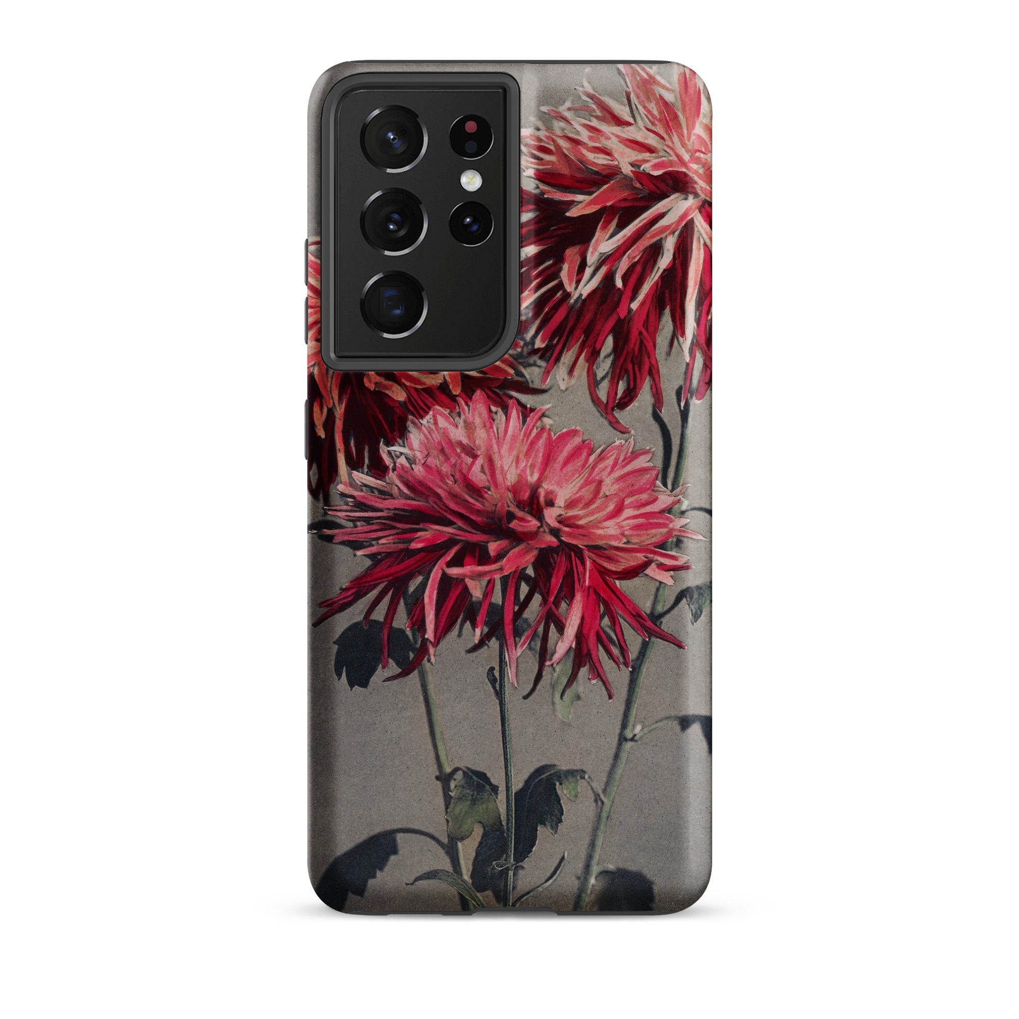 Asa–dsuma–bune Kazumasa Ogawa Floral Samsung Case, Galaxy S21 Ultra / Matte, Smartphone Case Dark Pink Chrysanthemum Floral Design