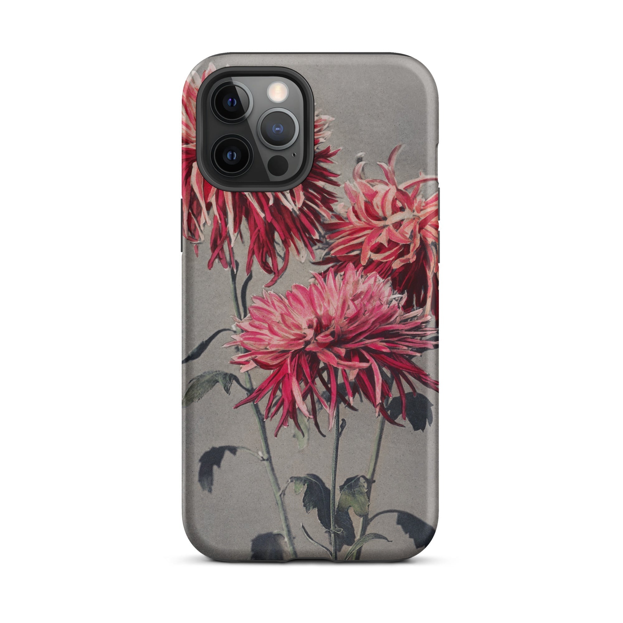 Asa–dsuma–bune Ogawa Kazumasa Floral Iphone Case, 12 Pro Max / Matte, Floral Patterned Phone Case