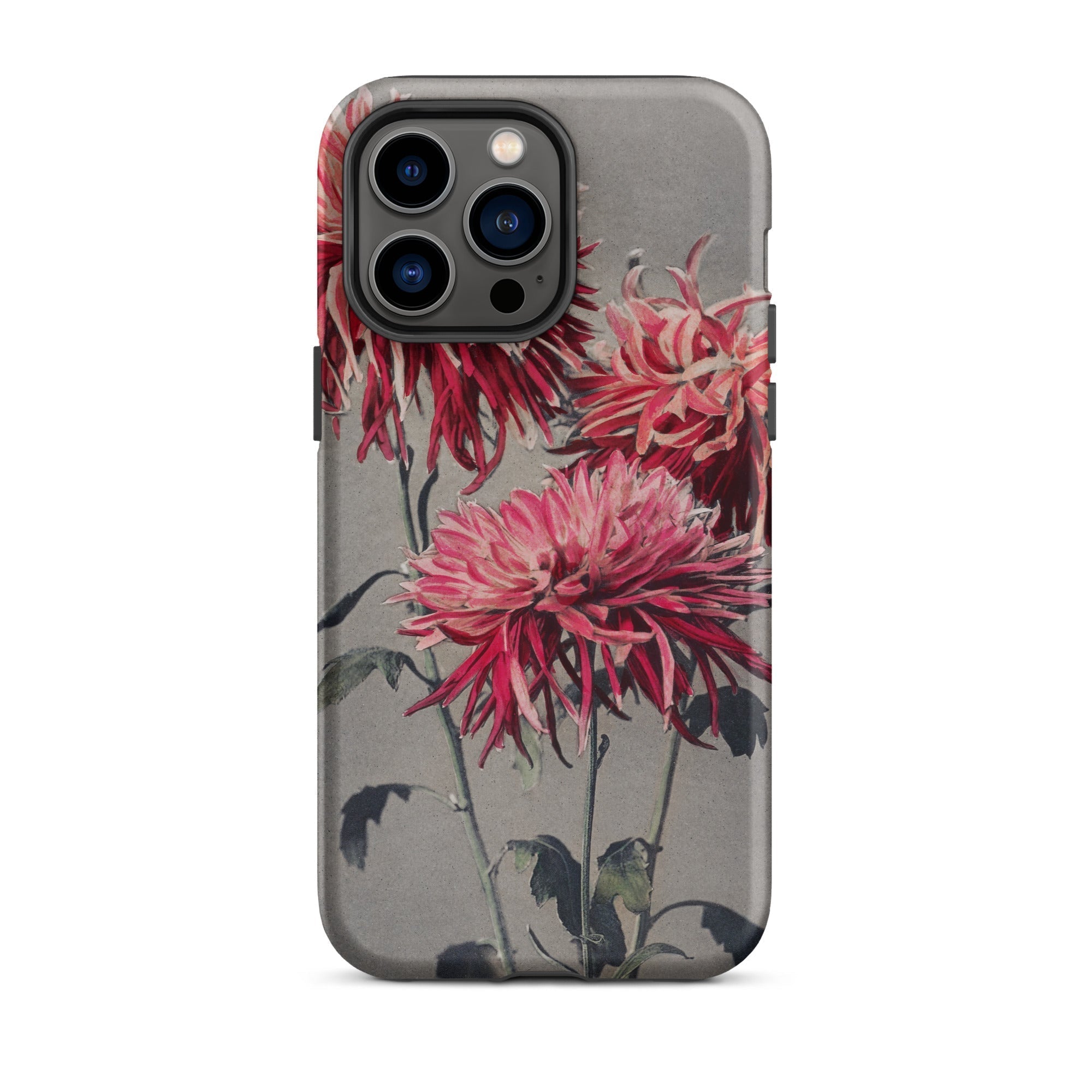 Asa–dsuma–bune Ogawa Kazumasa Floral Iphone Case, 14 Pro Max / Matte, Floral Patterned Phone Case