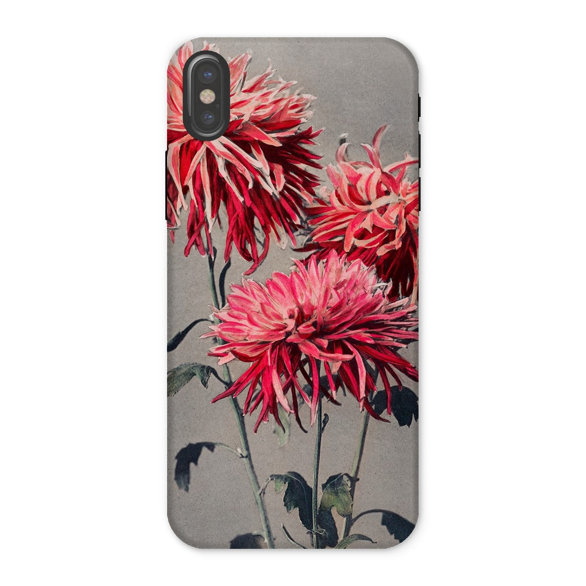 Asa–dsuma–bune Ogawa Kazumasa Floral Iphone Case, x / Matte, Phone Case Floral Design Vibrant Red Pink Chrysanthemums
