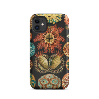 Ascidiae Sea Squirts - Ernst Haeckel Iphone Case, 11 / Matte, Coral-patterned Phone Case