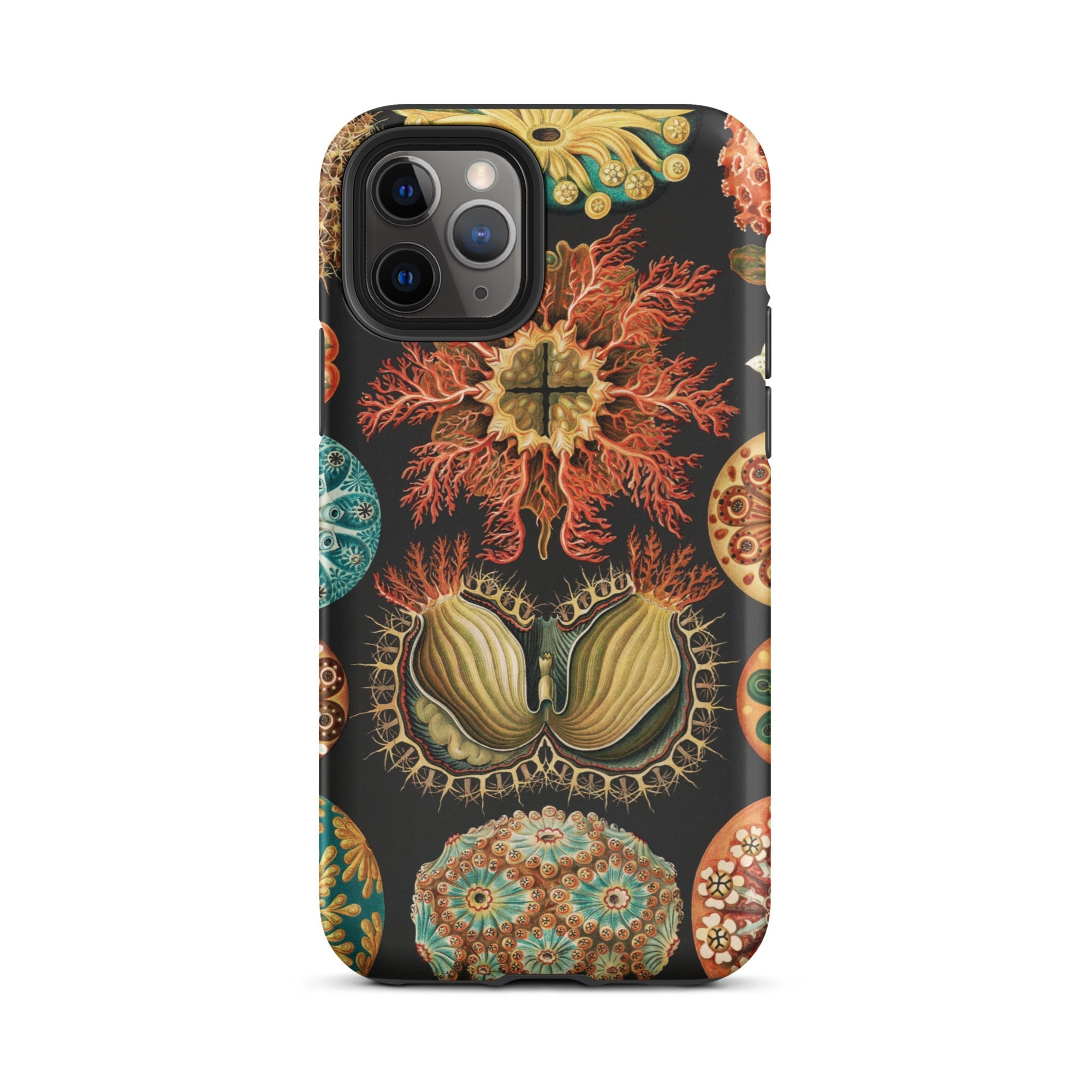 Ascidiae Sea Squirts Ernst Haeckel Iphone Case, 11 Pro / Matte, Coral Patterned Phone Case