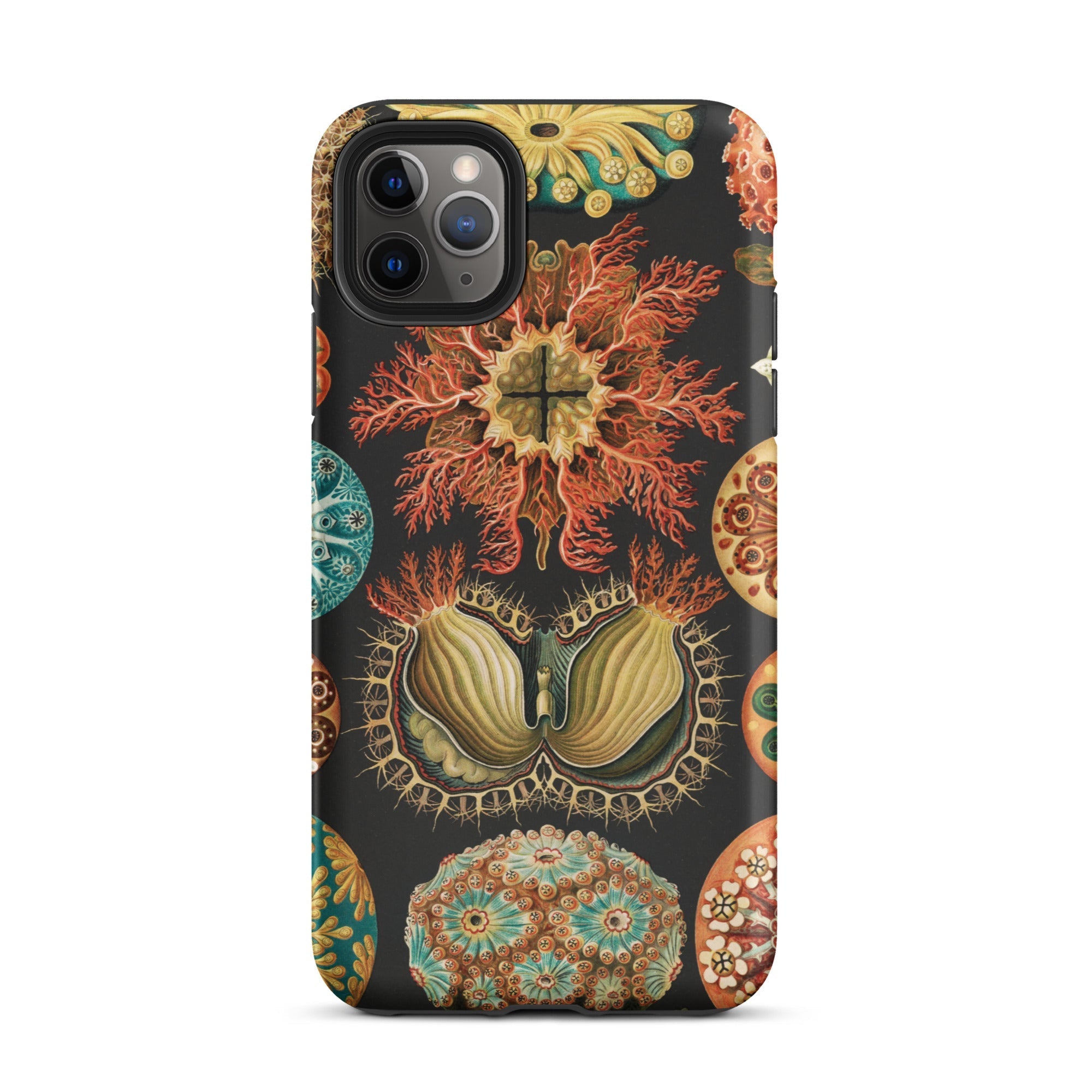Ascidiae Sea Squirts Ernst Haeckel Iphone Case, 11 Pro Max / Matte, Botanical Themed Phone Case