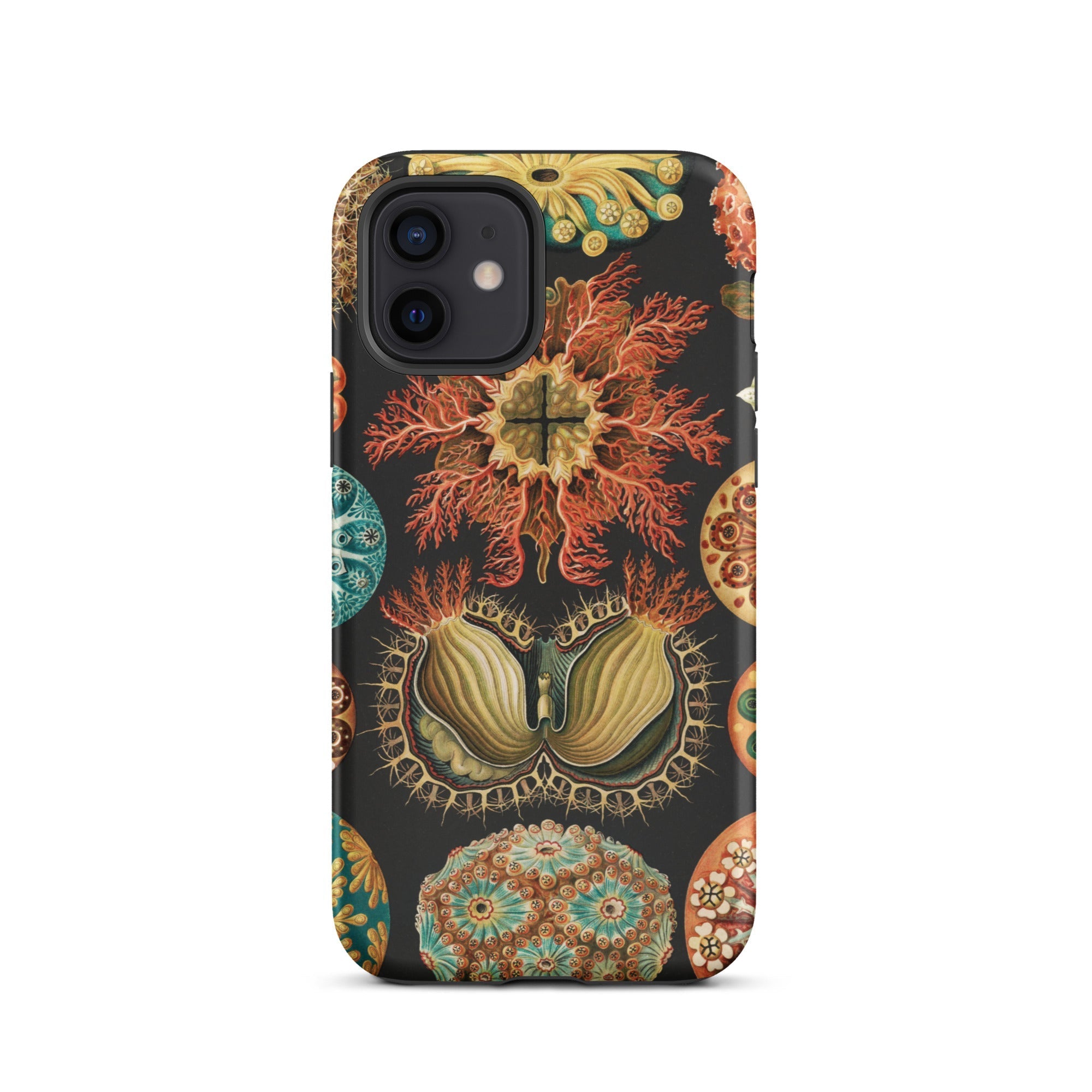 Ascidiae Sea Squirts Ernst Haeckel Iphone Case, 12 / Matte, Coral Patterned Phone Case