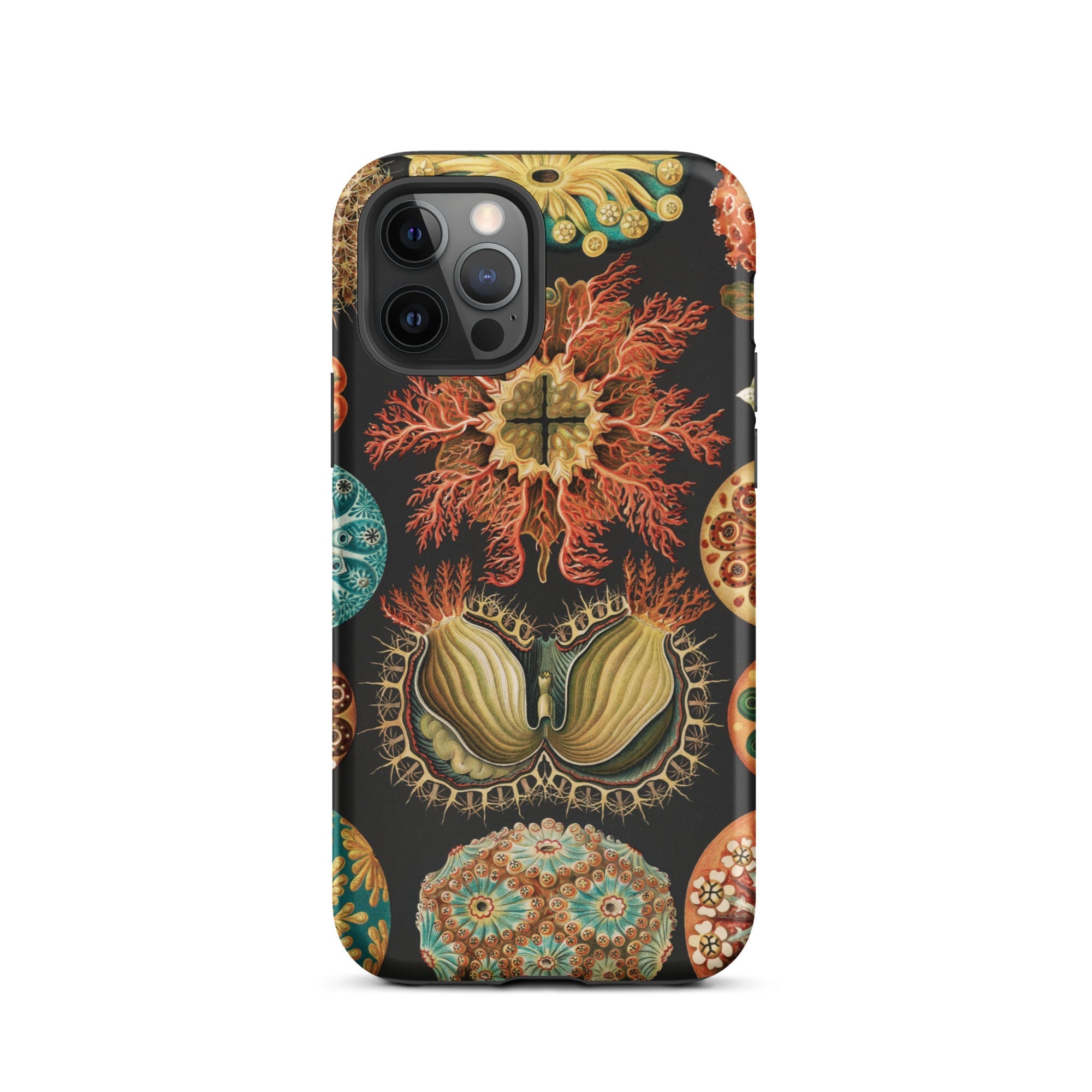 Ascidiae Sea Squirts Ernst Haeckel Iphone Case, 12 Pro / Matte, Botanical Patterned Phone Case