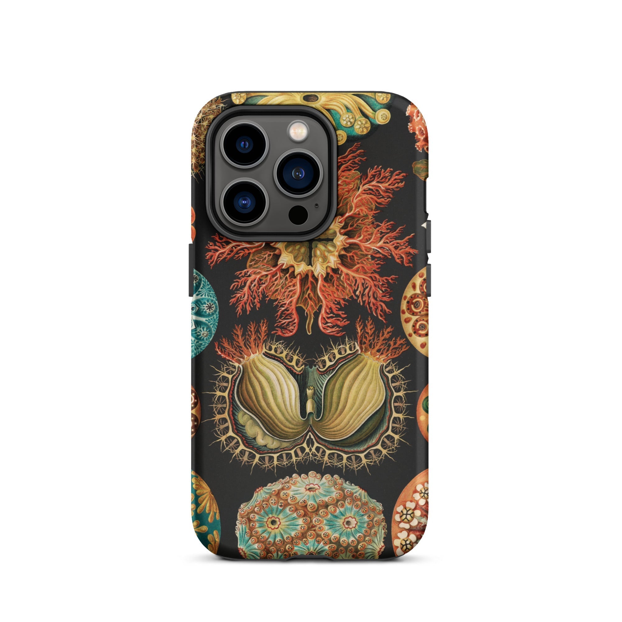 Ascidiae Sea Squirts Ernst Haeckel Iphone Case, 14 Pro / Matte, Coral Patterned Phone Case
