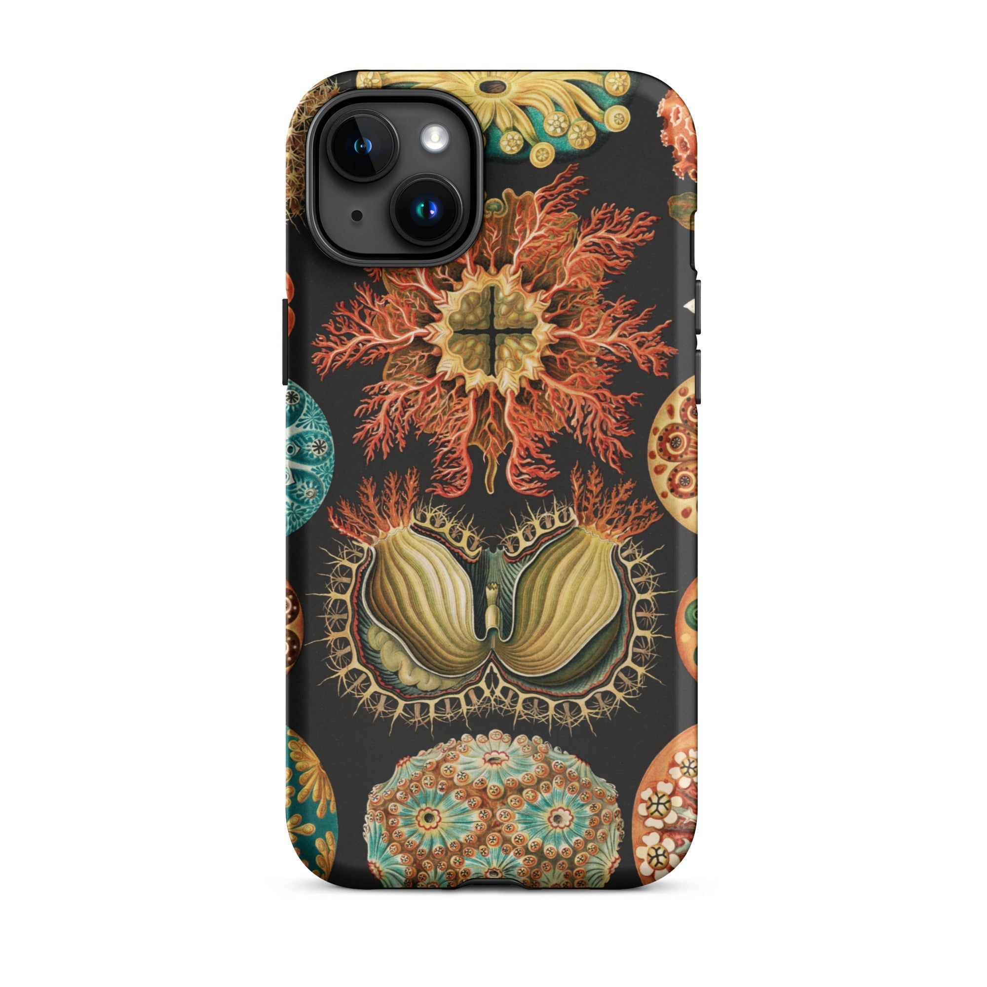Ascidiae Sea Squirts Ernst Haeckel Iphone Case, 15 Plus / Matte, Botanical Themed Phone Case