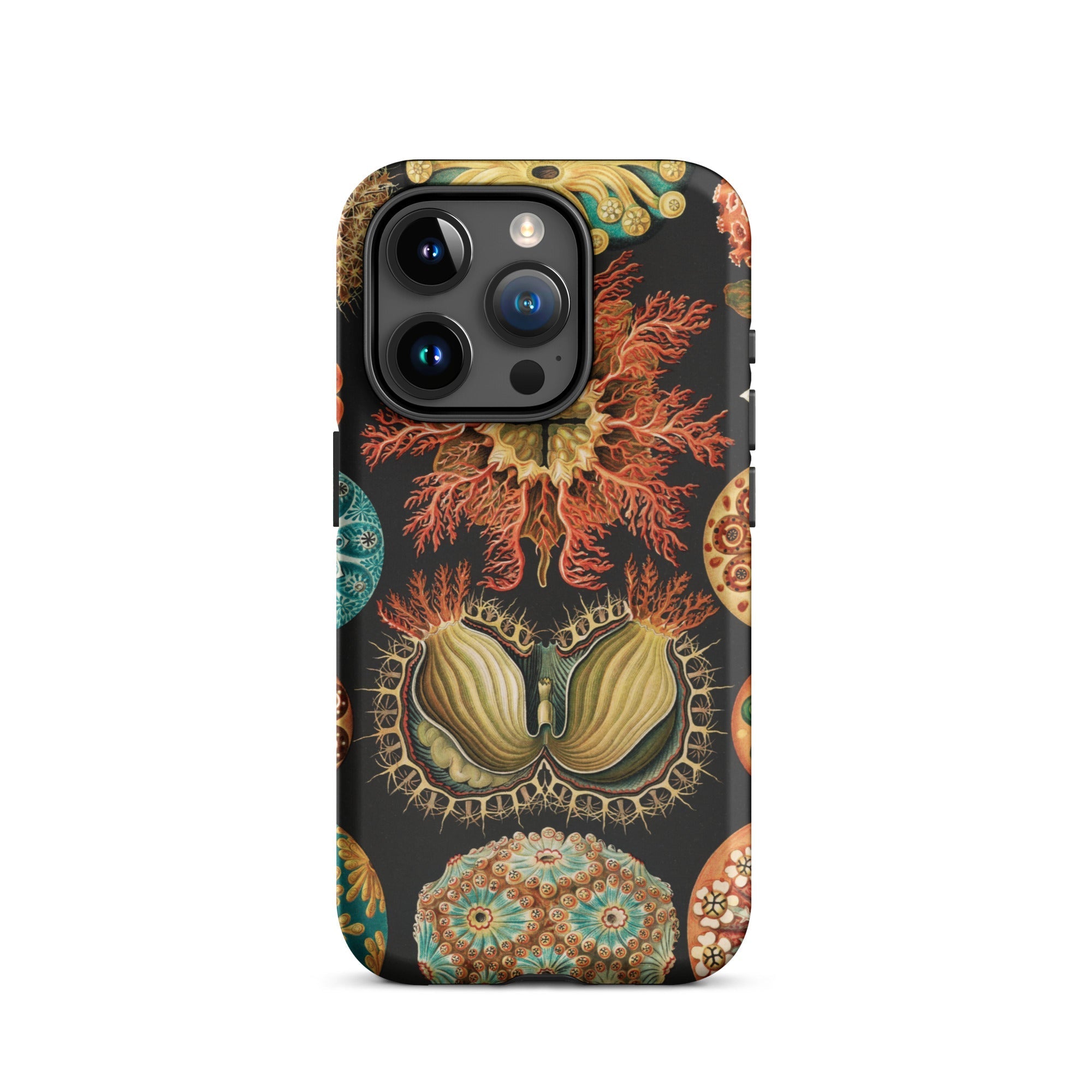 Ascidiae Sea Squirts Ernst Haeckel Iphone Case, 15 Pro / Matte, Coral Patterned Phone Case