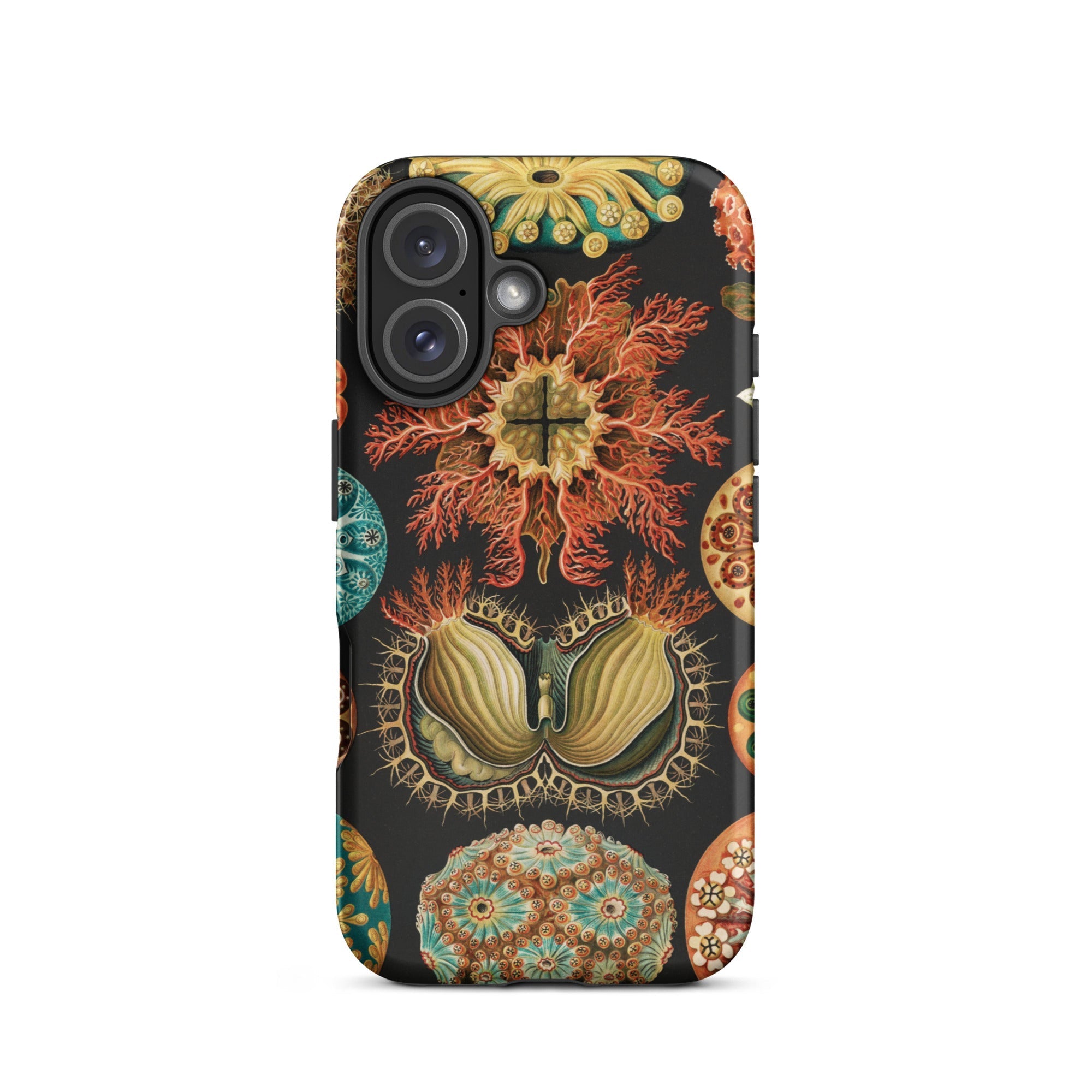 Ascidiae Sea Squirts Ernst Haeckel Iphone Case, 16 / Matte, Botanical Themed Phone Case