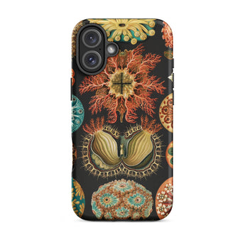 Ascidiae Sea Squirts - Ernst Haeckel Iphone Case, 16 Plus / Matte, Floral-patterned Phone Case