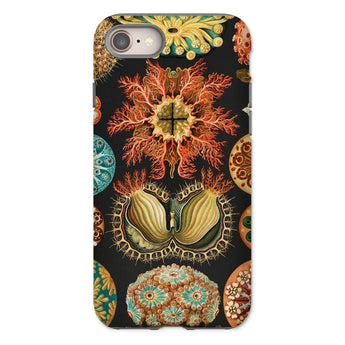 Ascidiae Sea Squirts - Ernst Haeckel Iphone Case, 8 / Matte, Botanical-themed Phone Case