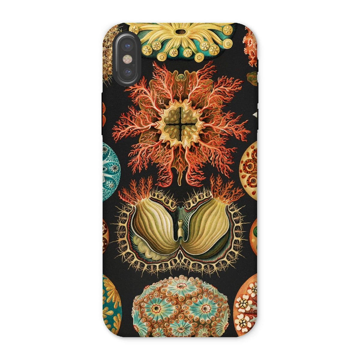 Ascidiae Sea Squirts Ernst Haeckel Iphone Case, x / Matte, Botanical Themed Phone Case