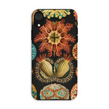 Ascidiae Sea Squirts - Ernst Haeckel Iphone Case, Xr / Matte, Botanical-patterned Phone Case