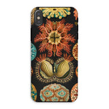 Ascidiae Sea Squirts - Ernst Haeckel Iphone Case, Xs / Matte, Botanical-patterned Phone Case