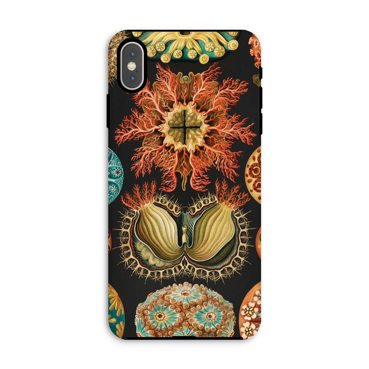 Ascidiae Sea Squirts Ernst Haeckel Iphone Case, Xs Max / Matte, Floral Patterned Phone Case