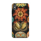 Ascidiae Sea Squirts Ernst Haeckel Iphone Case, Xs Max / Matte, Floral Patterned Phone Case