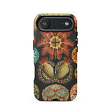 Ascidiae Sea Squirts - Ernst Haeckel Phone Case Iphone 17 Air / Matte Google Pixel 7a Phone Case Intricate Floral Seed Ernst Haeckel Case,