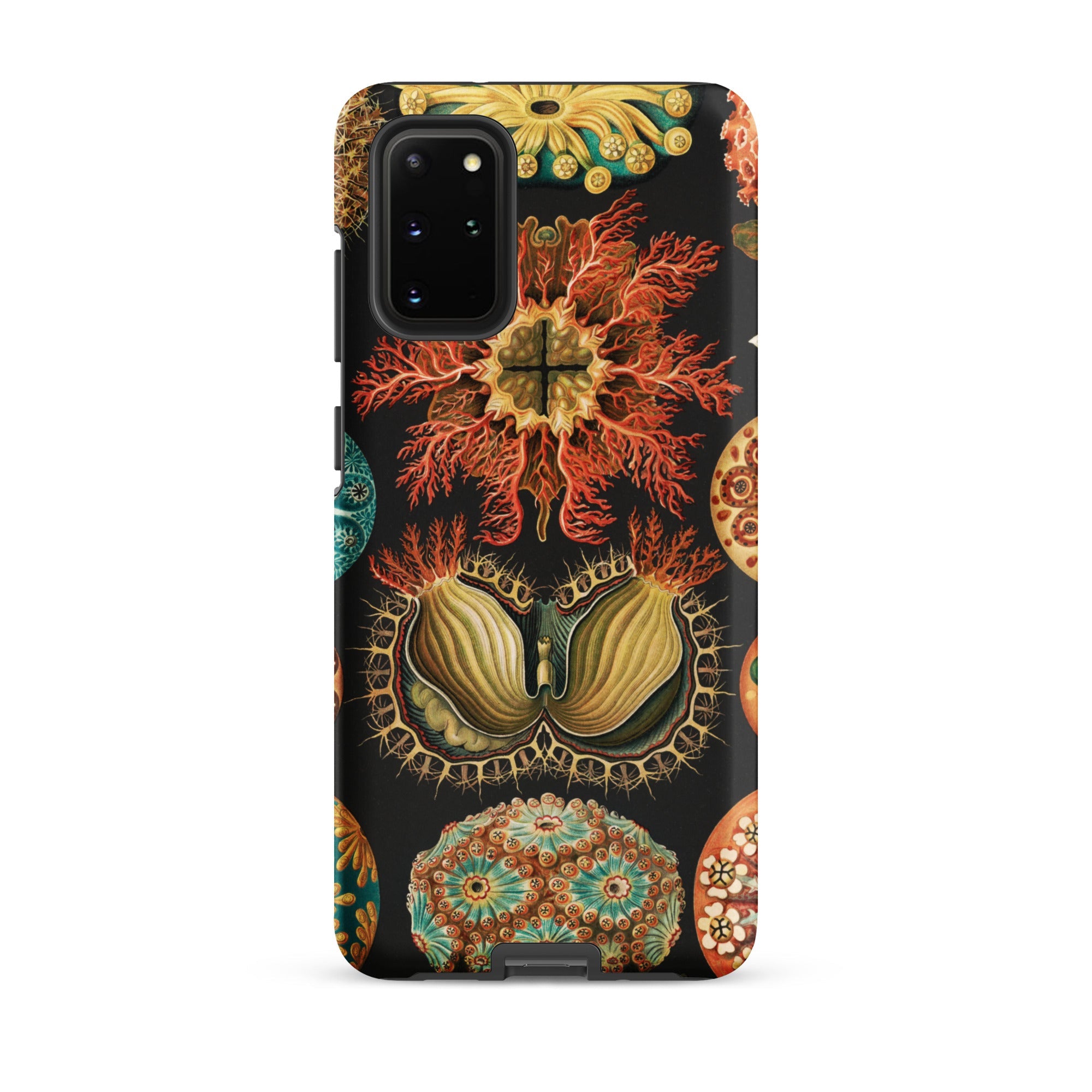 Ascidiae Sea Squirts Ernst Haeckel Samsung Case, Galaxy S20 Plus / Matte, Smartphone Case Vintage Style Biological Illustration Marine Life
