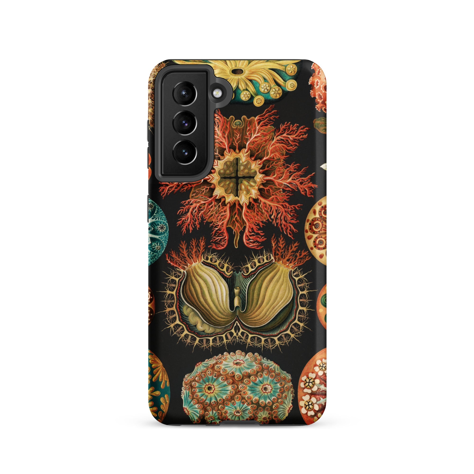 Ascidiae Sea Squirts Ernst Haeckel Samsung Case, Galaxy S21 / Matte, Phone Case Vintage Natural History Illustration Marine Organisms
