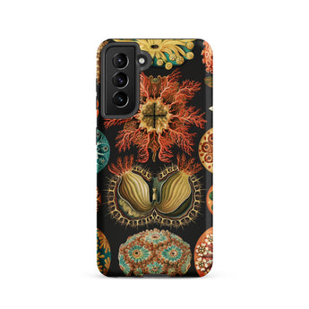 Ascidiae Sea Squirts - Ernst Haeckel Samsung Case, Galaxy S21 / Matte, Phone Case Vintage Natural History Illustration Marine Organisms