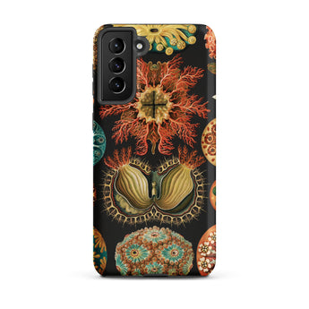 Ascidiae Sea Squirts - Ernst Haeckel Samsung Case, Galaxy S21 Plus / Matte, Black Phone Case Vibrant Intricate Pattern Marine Life