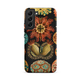 Ascidiae Sea Squirts - Ernst Haeckel Samsung Case, Galaxy S22 Plus / Matte, Black Phone Case Vibrant Pattern Coral Marine Organisms