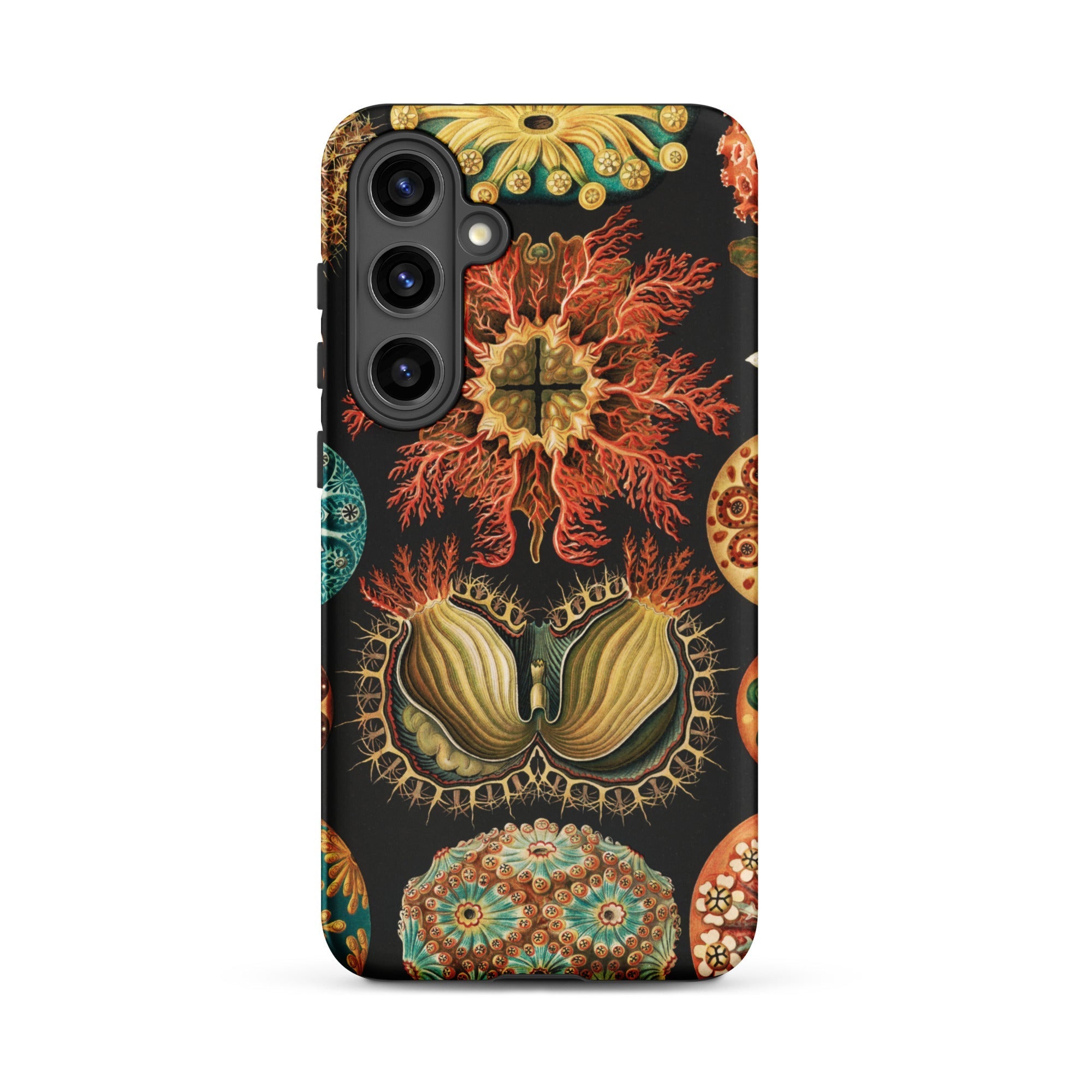 Ascidiae Sea Squirts Ernst Haeckel Samsung Case, Galaxy S24 Plus / Matte, Smartphone Case Vintage Natural History Illustration Marine Life