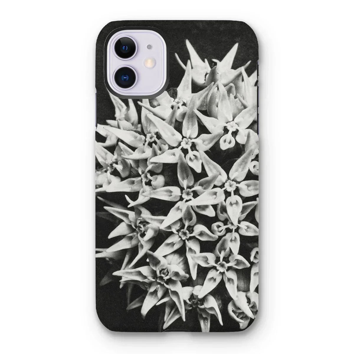 Asclepias Speciosa - Karl Blossfeldt Iphone Case, 11 / Matte, Phone Case Black White Photograph Clustered Flowers