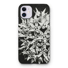 Asclepias Speciosa - Karl Blossfeldt Iphone Case, 11 / Matte, Phone Case Black White Photograph Clustered Flowers