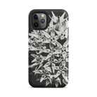 Asclepias Speciosa Karl Blossfeldt Iphone Case, 11 Pro / Matte, Floral Patterned Smartphone Case