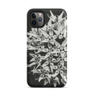 Asclepias Speciosa Karl Blossfeldt Iphone Case, 11 Pro Max / Matte, Black Phone Case Floral Design