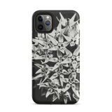 Asclepias Speciosa - Karl Blossfeldt Iphone Case, 11 Pro Max / Matte, Black Phone Case Floral Design