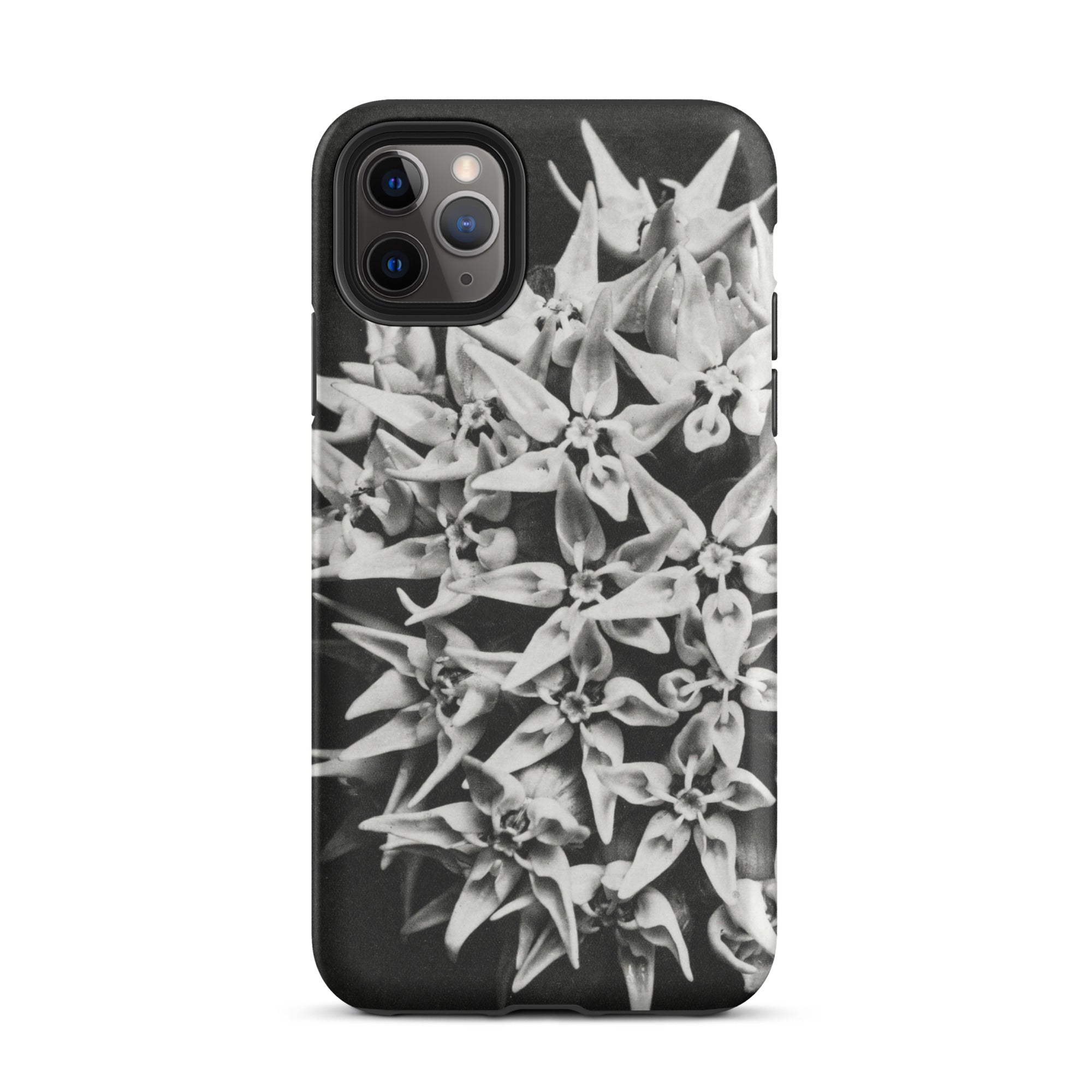 Asclepias Speciosa Karl Blossfeldt Iphone Case, 11 Pro Max / Matte, Black Phone Case Floral Design