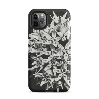 Asclepias Speciosa - Karl Blossfeldt Iphone Case, 11 Pro Max / Matte, Black Phone Case Floral Design
