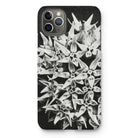 Asclepias Speciosa - Karl Blossfeldt Iphone Case, 11 Pro Max / Matte, Iphone Case Black White Photograph Clustered Star-shaped Flowers