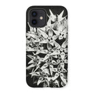 Asclepias Speciosa - Karl Blossfeldt Iphone Case, 12 / Matte, Phone Case Black White Floral Design Clustered Star-shaped