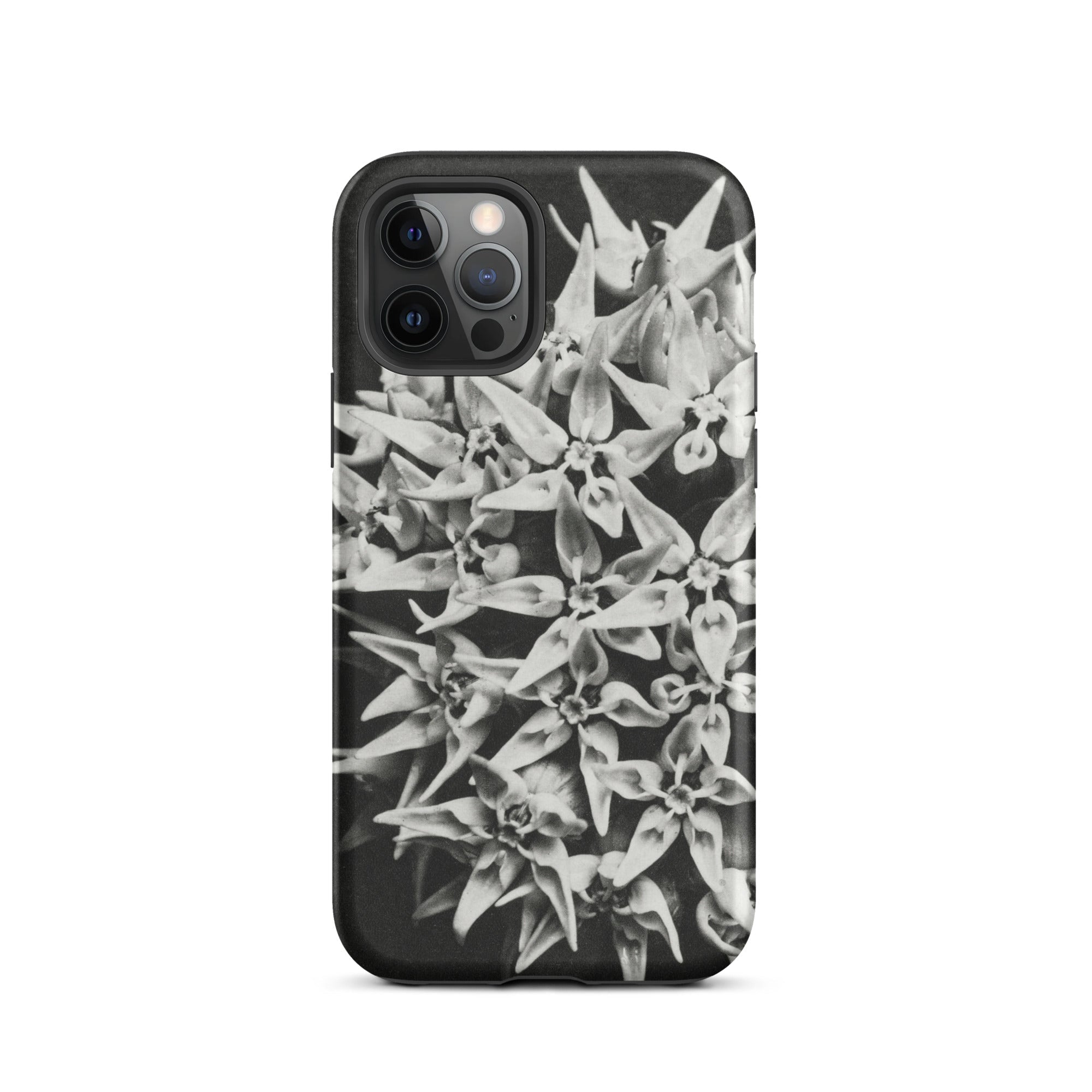Asclepias Speciosa Karl Blossfeldt Iphone Case, 12 Pro / Matte, Black Phone Case Floral Design