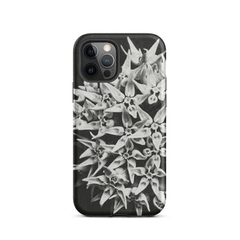 Asclepias Speciosa - Karl Blossfeldt Iphone Case, 12 Pro / Matte, Black Phone Case Floral Design